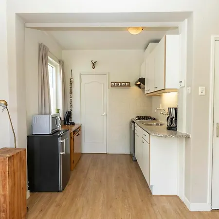 Cozy Texel Retreat With Garden *