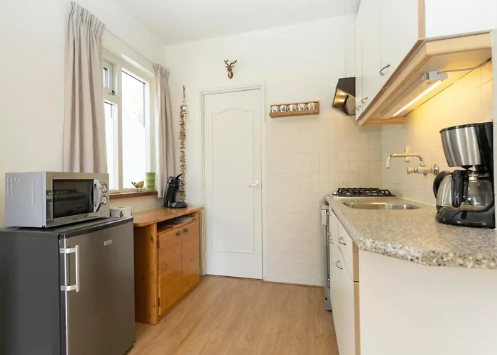 2-Guest Apartment Alikruik In De Koog Lejlighed *